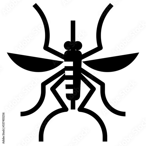 insect