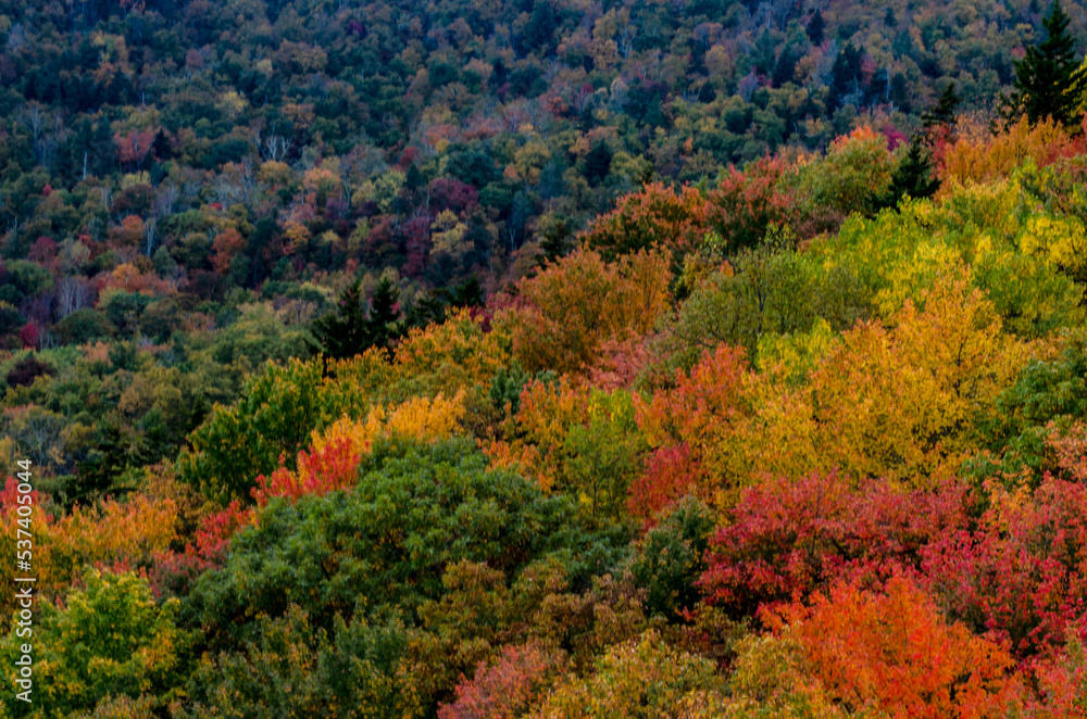 Blue Ridge Mountains Pop with Fall Colors
