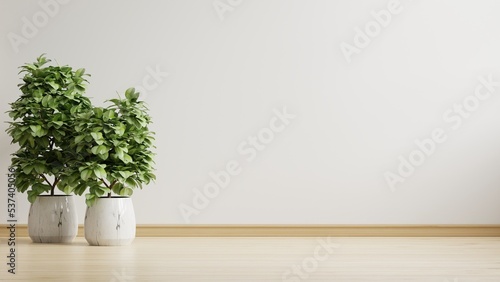 Empty room with plants mockup have wooden floor.