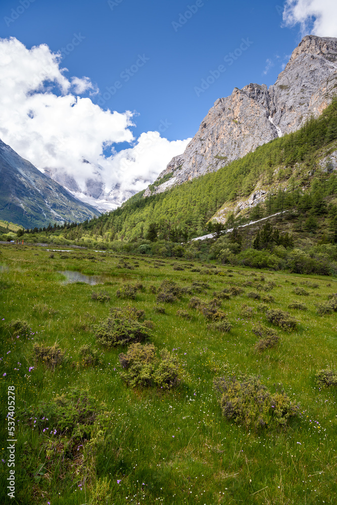 Green colored pasture, calm stream and summit of sacred mountain Mt. Chanadorje (Xianuoduoji, 5958m) on the background. Daocheng Yading Nature Reserve, Sichuan, China.