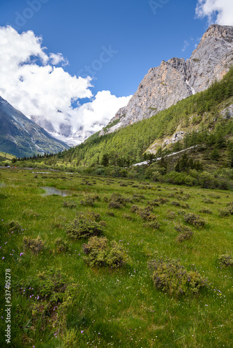 Green colored pasture, calm stream and summit of sacred mountain Mt. Chanadorje (Xianuoduoji, 5958m) on the background. Daocheng Yading Nature Reserve, Sichuan, China.