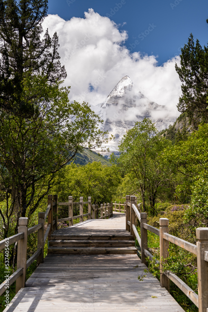 Summer forest with wooden walkway and mt. Chanadorje and Chongu pasture in Yading national level reserve in Daocheng, Sichuan Province, China.