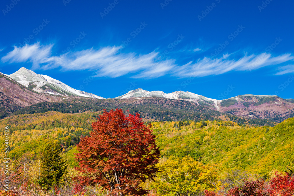 autumn landscape in the mountains