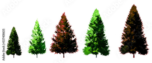 tree silhouettes isolated transparent background evergreen PNG red and green hints Christmas coniferous