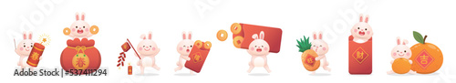 Various cute bunny characters or mascots, Chinese lunar new year elements, vector cartoon style set, Chinese translation: blessing and wealth