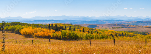 Fall landscapes prairies and beautiful forest colors autumn valley panorama. Yellow Aspen trees and panoramic background