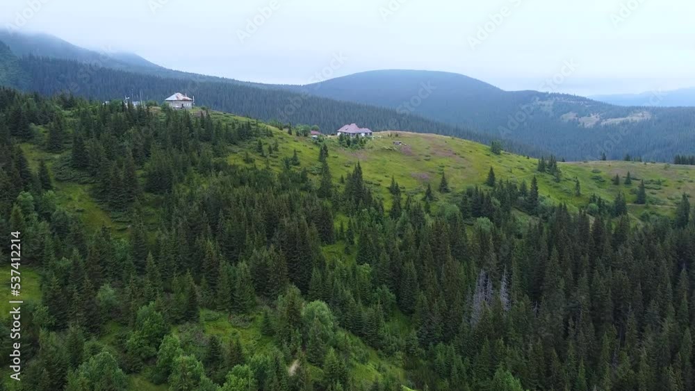 view of the mountains in Switzerland. Pine forest shot by a drone view of the mountains in Switzerland. Pine forest shot by a drone