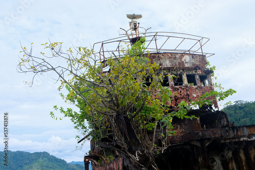 Close up of a shipwreck on the shoreline of remote tropical island with a tree growing aboard the wreckage in Bougainville, Papua New Guinea