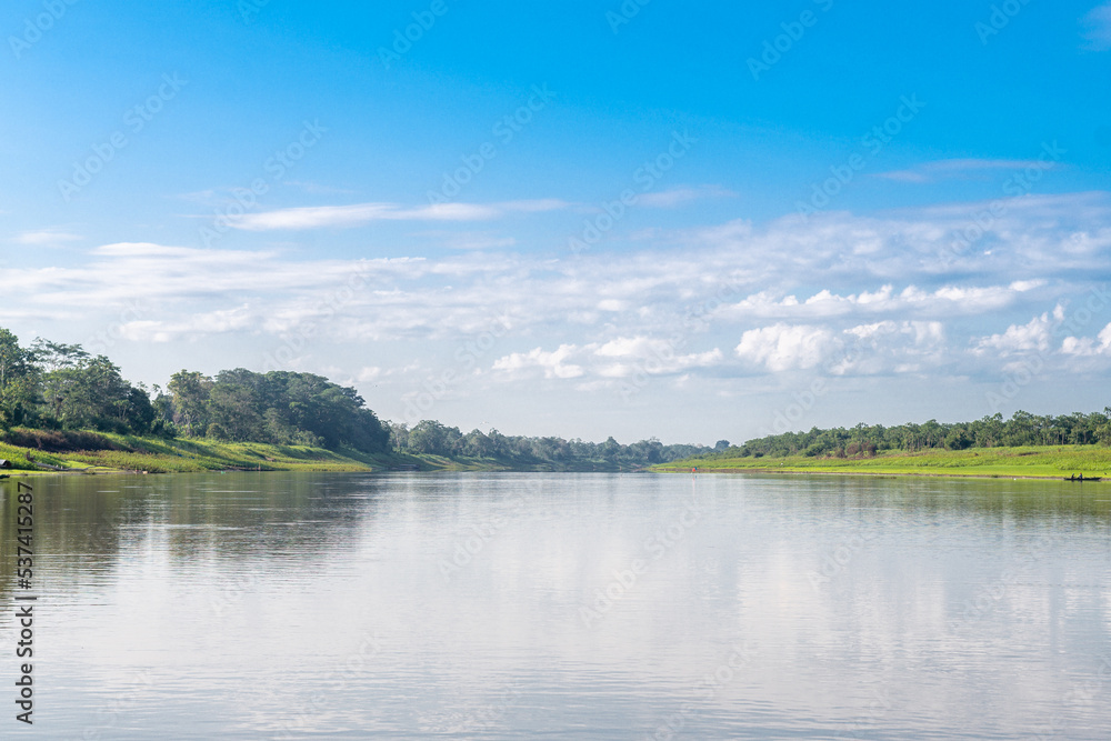 riverbank view of peruvian amazonian jungle
