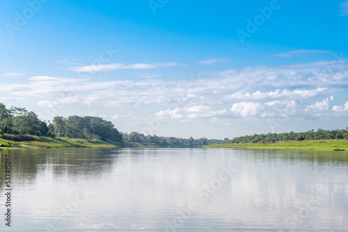 Fototapeta Naklejka Na Ścianę i Meble -  riverbank view of peruvian amazonian jungle
