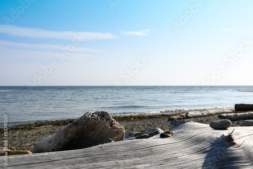An image an ocean view with a large piece of weathered drift wood in the foreground.