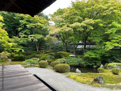 japanese garden in spring