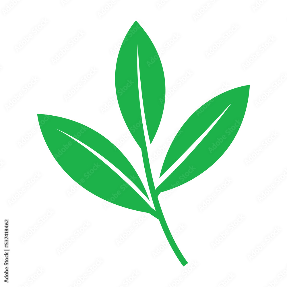 Fototapeta premium leaf icon vector design template in white background