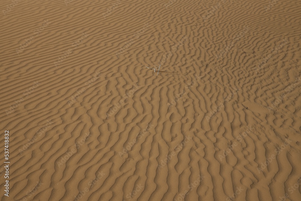 Obraz premium sand dune texture