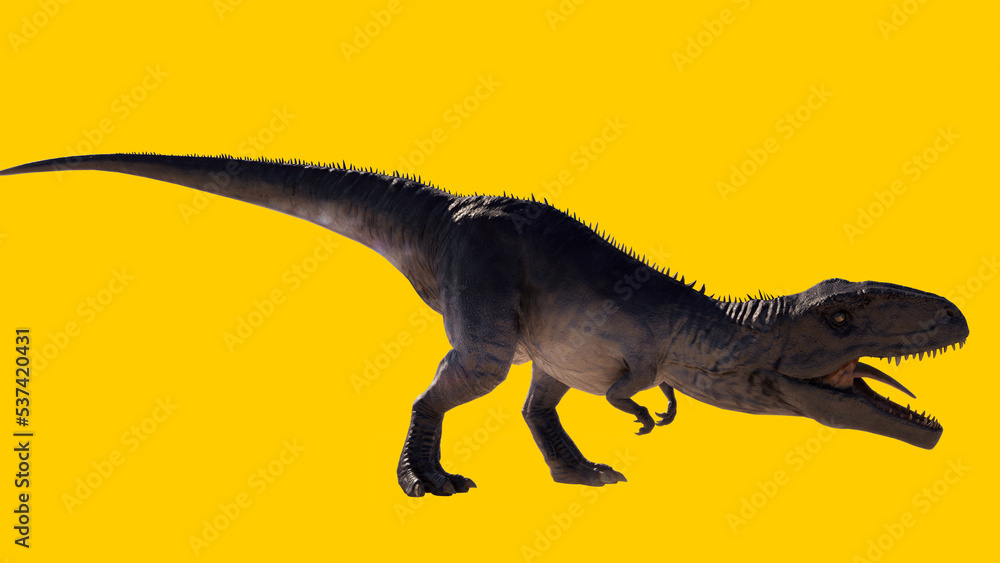 Giganotosaurus dinosaur walking and running roaring isolated on yellow blank background Giganotosaurus dinosaur walking and running roaring isolated on yellow blank background