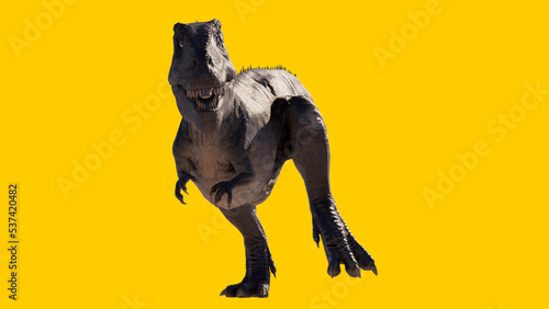 Giganotosaurus dinosaur walking and running roaring isolated on yellow blank background © akiratrang