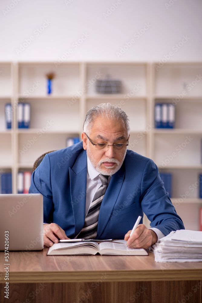 Old male employee working in the office Old male employee working in the office