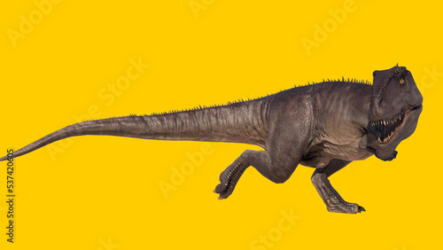 Giganotosaurus dinosaur walking and running roaring isolated on yellow blank background © akiratrang
