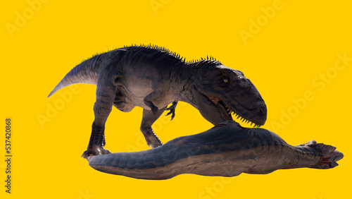 Carnivorous and roaring Giganotosaurus dinosaur isolated on yellow blank background