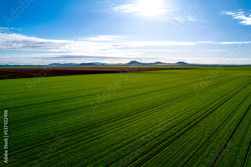 Liverpool Plains farmland