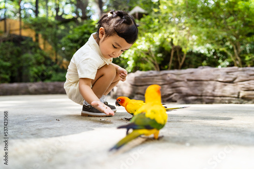 Asian little girl feeding birds on a hand in the park.