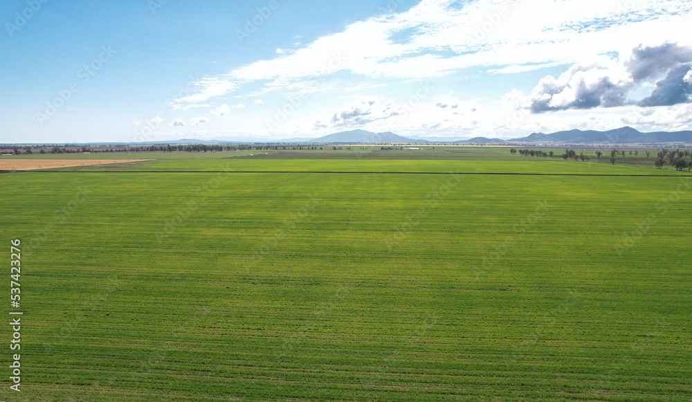 Fototapeta premium Liverpool Plains farmland