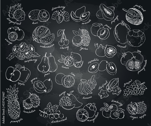 Hand-drawn fruits set on blackboard. Food ingredients vector illustration. 