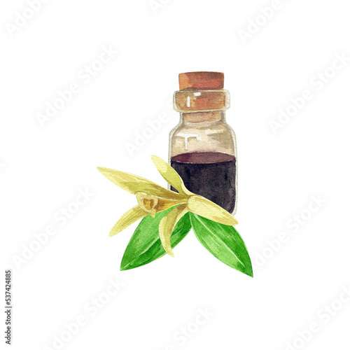 Quadro em tela Vanilla extract with flower and leaves. Watercolor illustration.