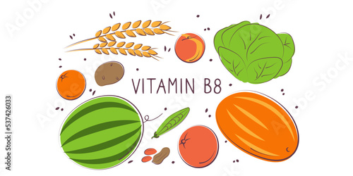 Fototapeta Naklejka Na Ścianę i Meble -  Vitamin B8 Inositol. Groups of healthy products containing vitamins. Set of fruits, vegetables, meats, fish and dairy