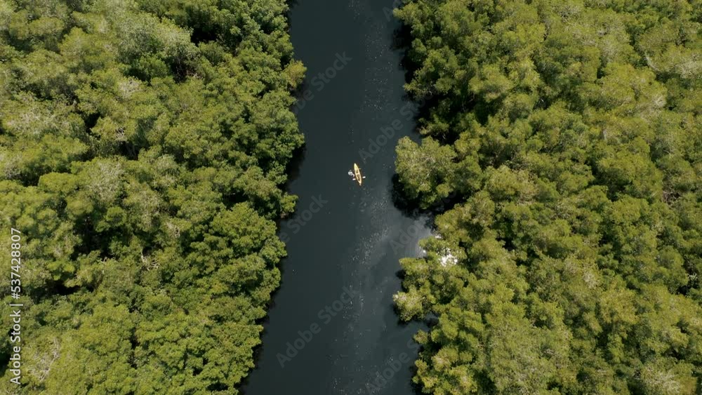 Kayaking On Lagoon And Mangrove Forest In El Paredon, Guatemala At Daytime - aerial top down Kayaking On Lagoon And Mangrove Forest In El Paredon, Guatemala At Daytime - aerial top down
