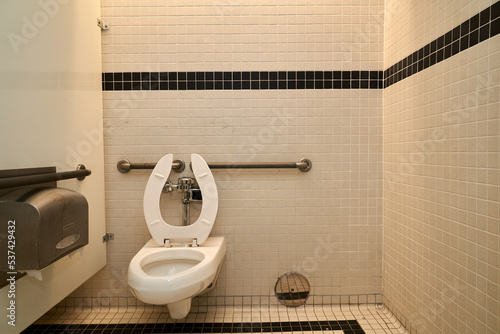 Handicap Bathroom Stall with Toilet and Toilet Paper Holder and Protective Tissue Holder