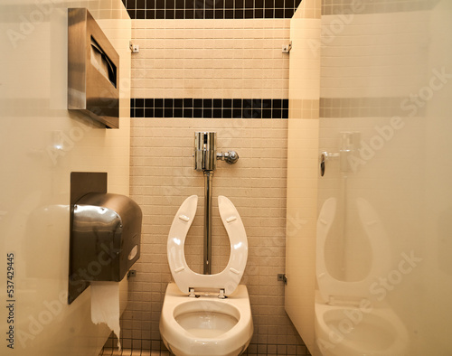 Public Toilet stall in midcentury building 