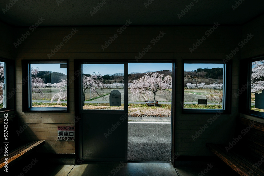 福島県の夏井駅から見える桜 Stock Photo Adobe Stock