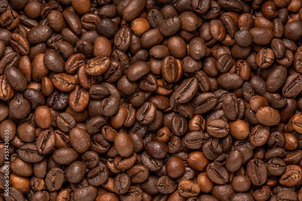 Close up,Roasted Cocoa beans or Aromatic Cocoa beans for coffee drink. Close up,Roasted Cocoa beans or Aromatic Cocoa beans for coffee drink.