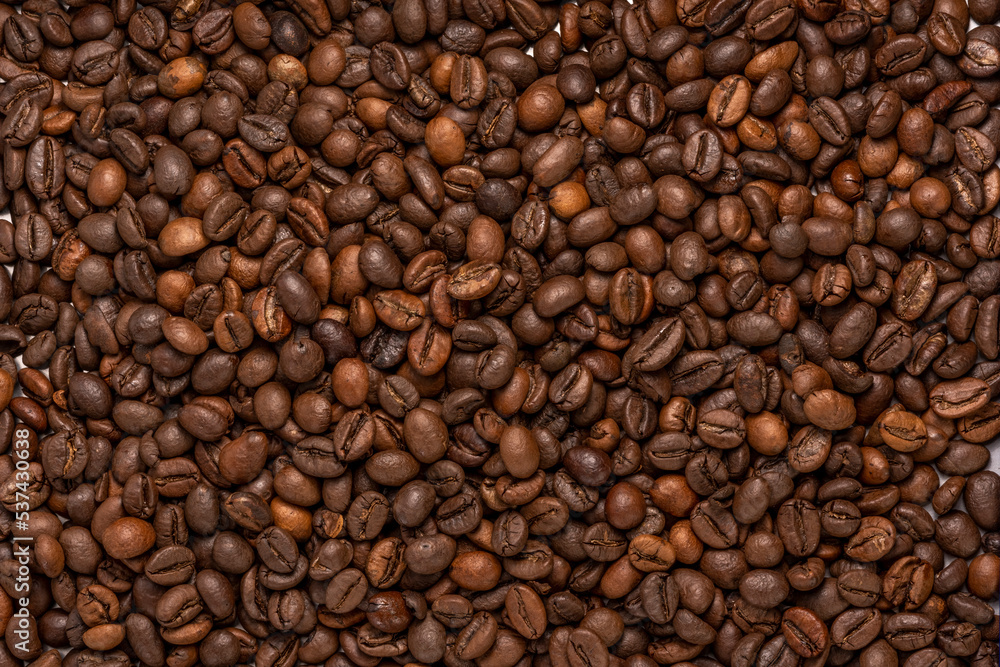 Close up,Roasted Cocoa beans or Aromatic Cocoa beans for coffee drink. Close up,Roasted Cocoa beans or Aromatic Cocoa beans for coffee drink.