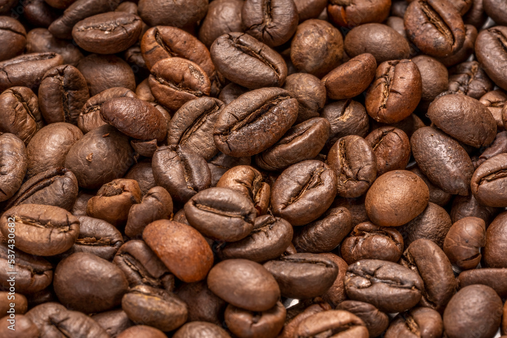 Fototapeta premium Close up,Roasted Cocoa beans or Aromatic Cocoa beans for coffee drink.
