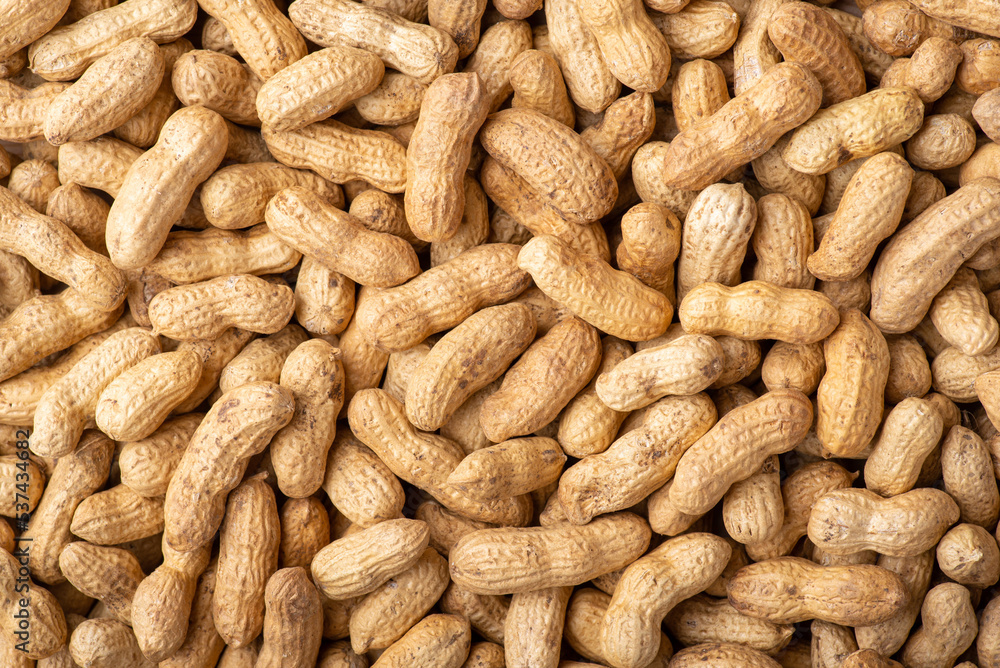 Background of peanuts in peel. Top down shot of roasted peanut Background of peanuts in peel. Top down shot of roasted peanut