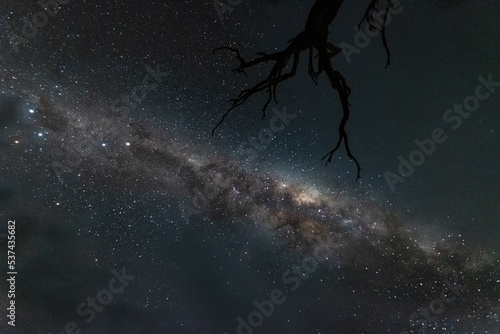 A night time photo of the spectacular Milky Way galaxy against a dark starry sky in Australia. You can see the cosmos and surrounding nebula and a silhouette of a tree above the galactic core.