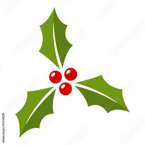 Holly Berry isolated on white background