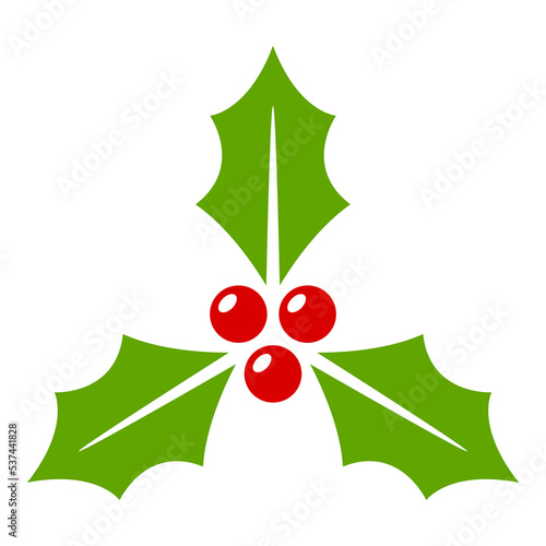 Holly Berry isolated on white background