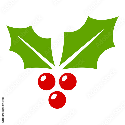 Holly Berry isolated on white background