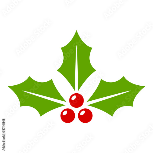 Holly Berry isolated on white background