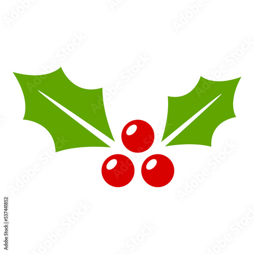 Holly Berry isolated on white background