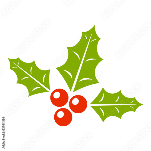 Holly Berry isolated on white background