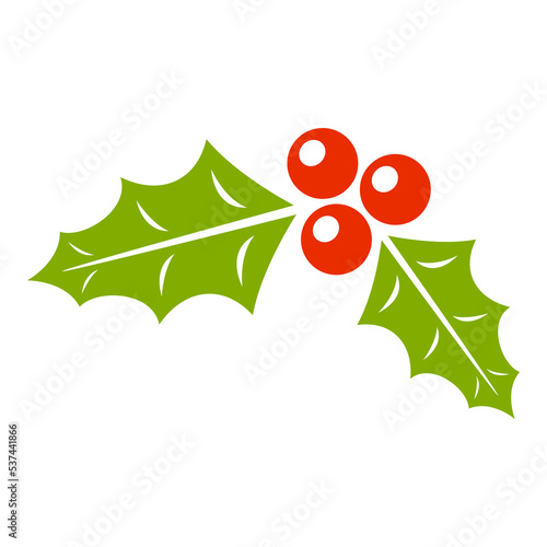 Holly Berry isolated on white background