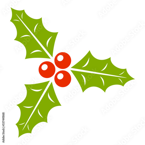 Holly Berry isolated on white background