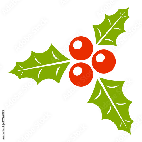 Holly Berry isolated on white background