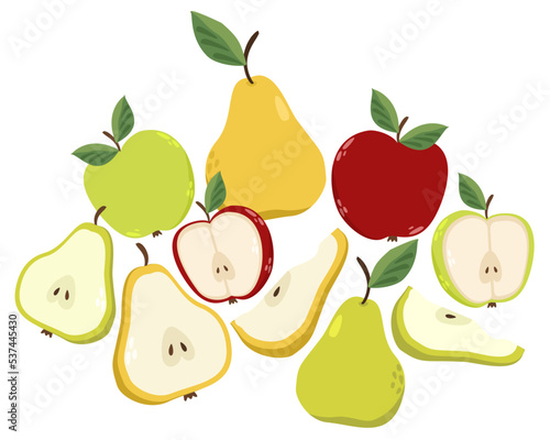 Colorful fresh apples and pears with leaves and seeds,. Whole, halfs and slices. Red, green and yellow. Vector isolated illustration.