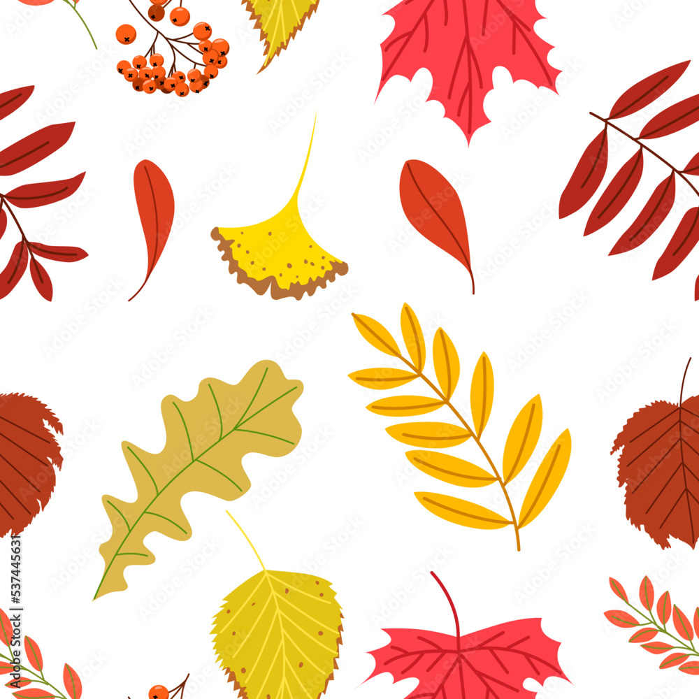 Seamless vector pattern of various autumn leaves on a white background.