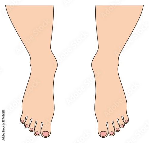 綺麗な裸足の人の足元 男性の足の指 イラスト ベクター